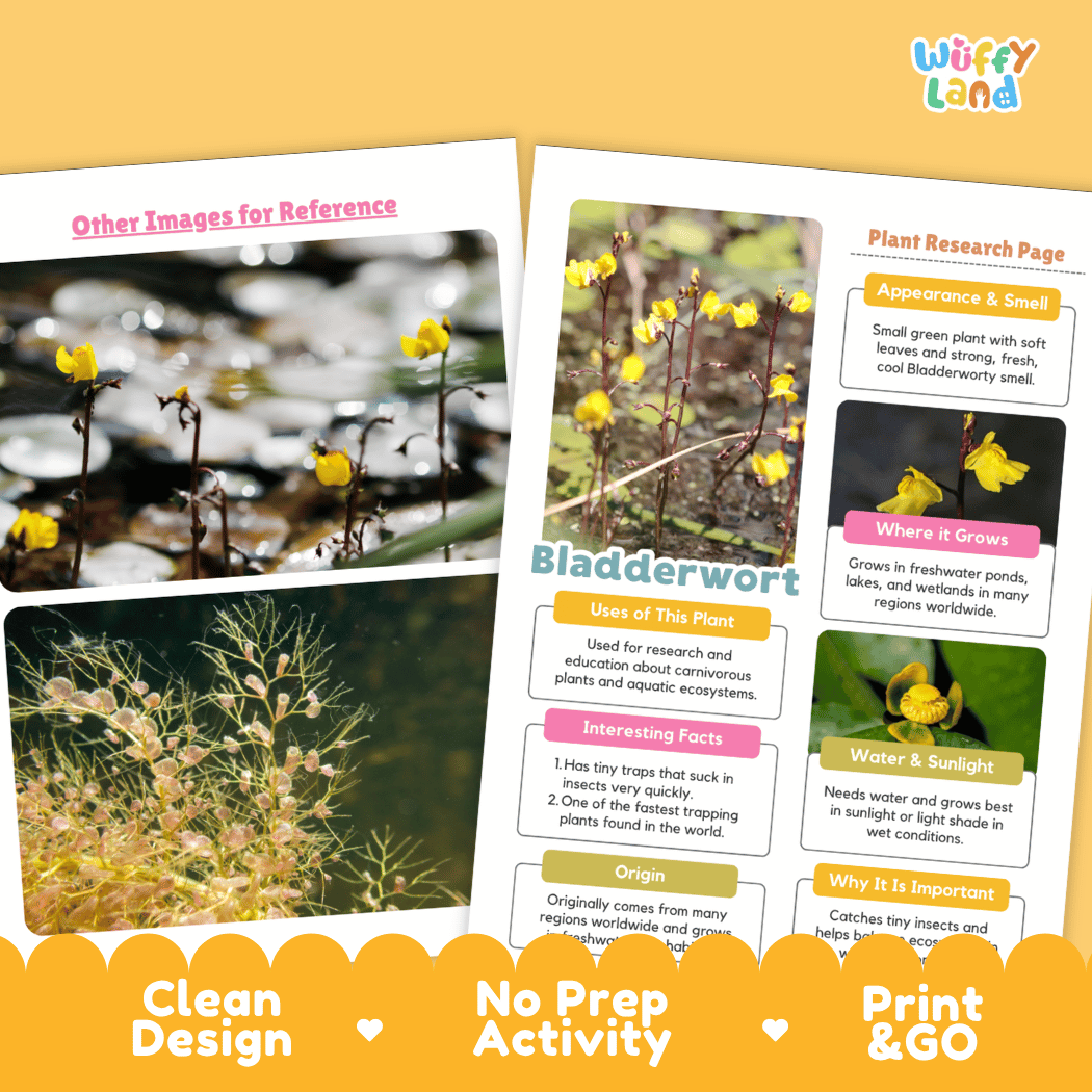 Bladderwort Plant Research Pages and Worksheets