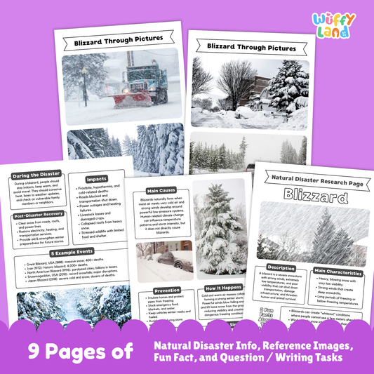 Printable blizzard research project pack for students featuring a main blizzard information page, characteristics and description sections, photo-based learning pages, causes and prevention worksheets, impacts and recovery activities, and structured research templates for elementary and middle school.