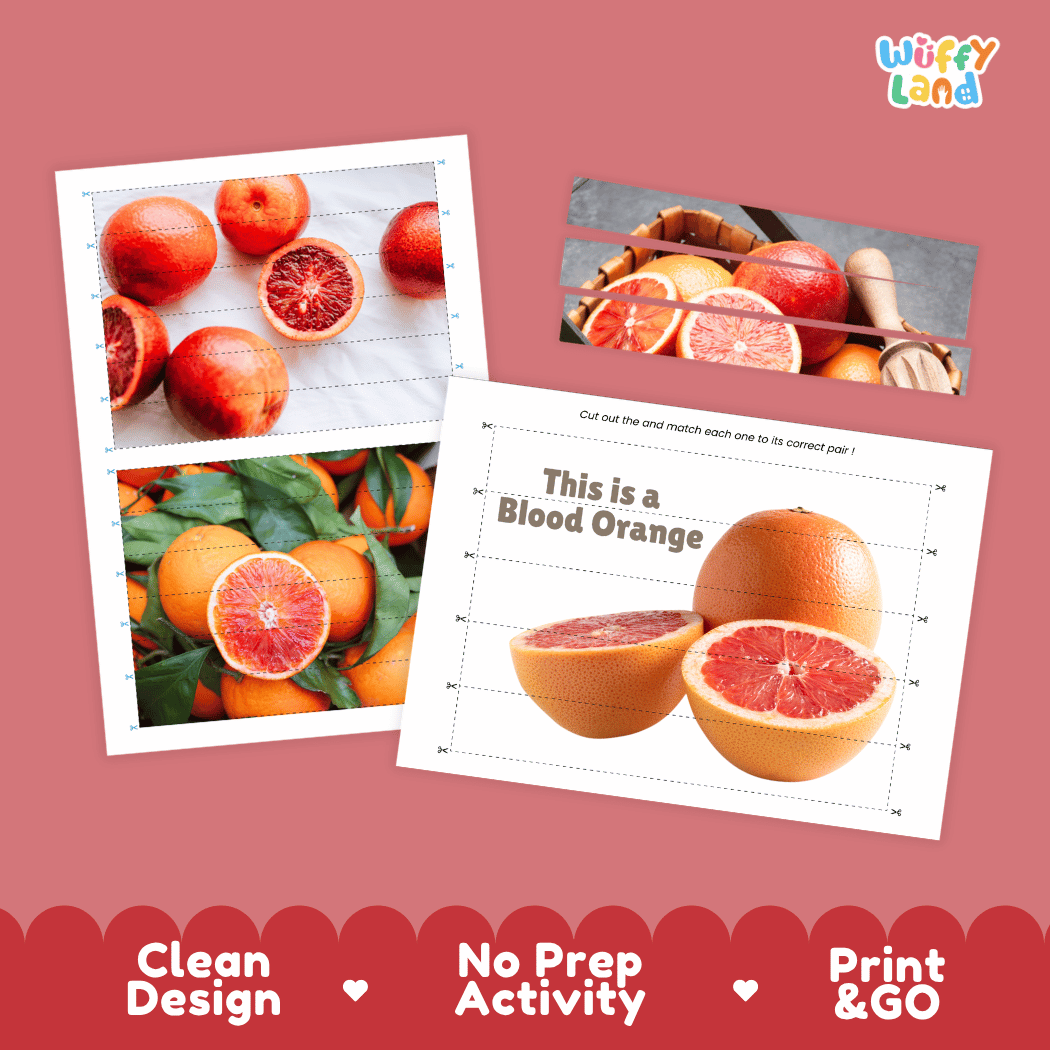 Blood Orange Cut and Match Activity Worksheets | Nuts and Dried Fruits Puzzle Printables