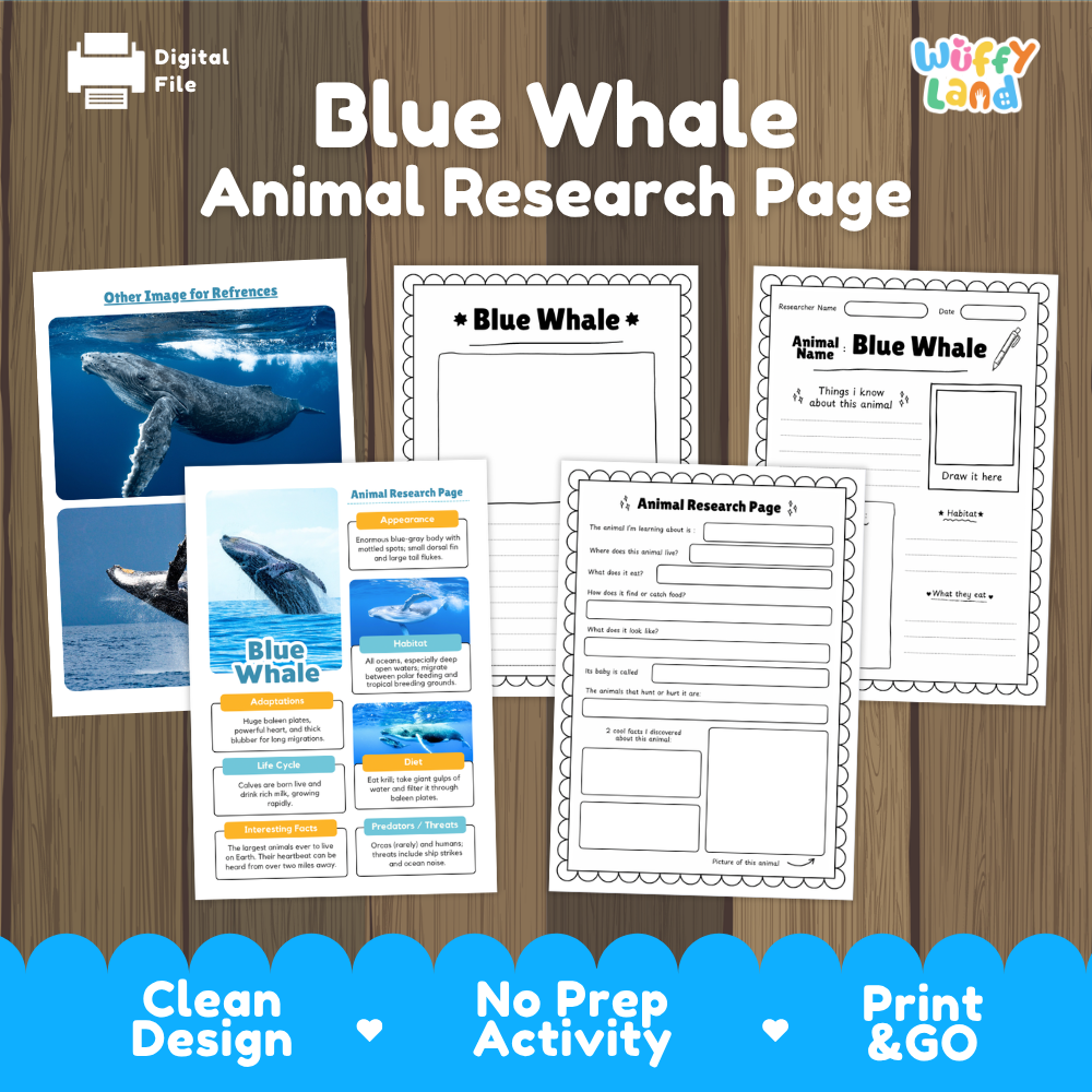 Clean design no prep print and go blue whale marine mammal ocean animal life cycle study printable PDF pack for elementary science