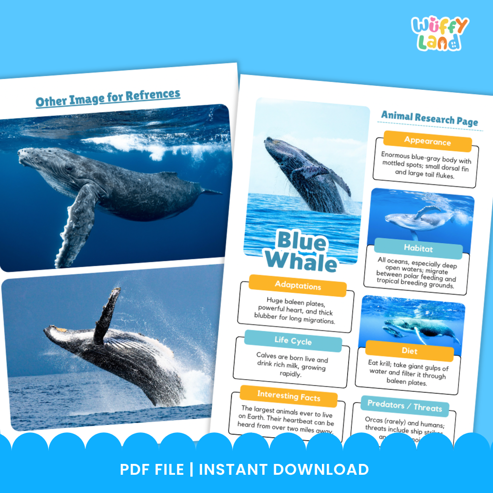 Blue Whale Animal Research Page Printable Worksheets for Early Elementary