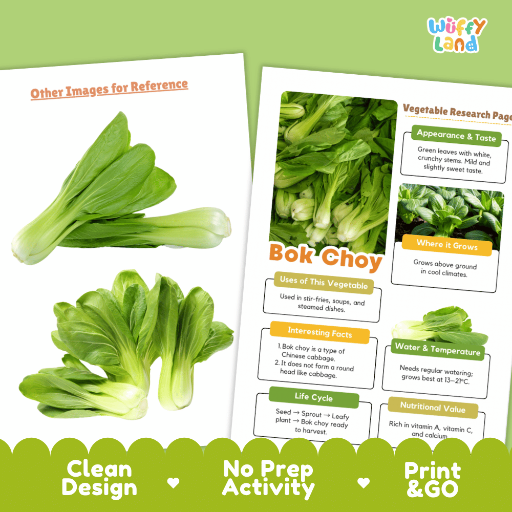 Bok Choy Vegetable Research Page Worksheets