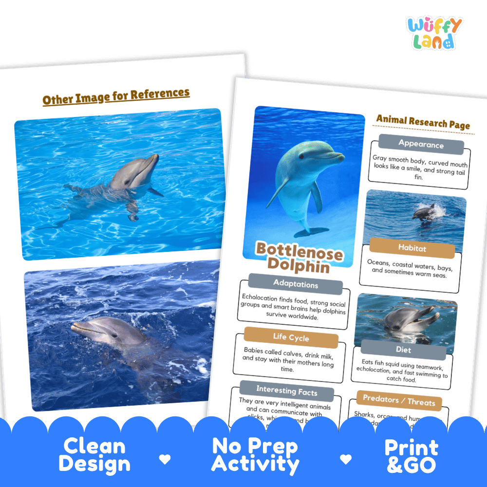 Bottlenose Dolphin Animal Research Project Worksheets and Fact Sheet Activity
