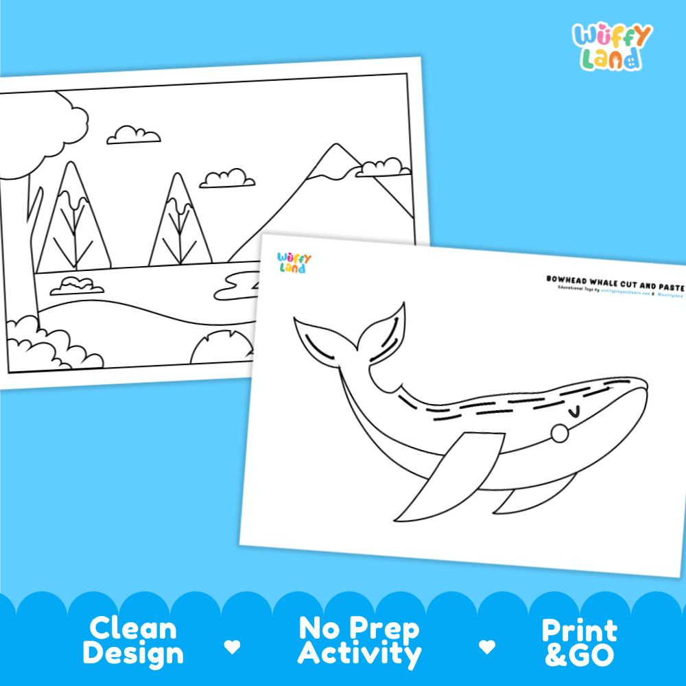 Bowhead Whale Cut and Paste Craft and Coloring Activity Worksheets