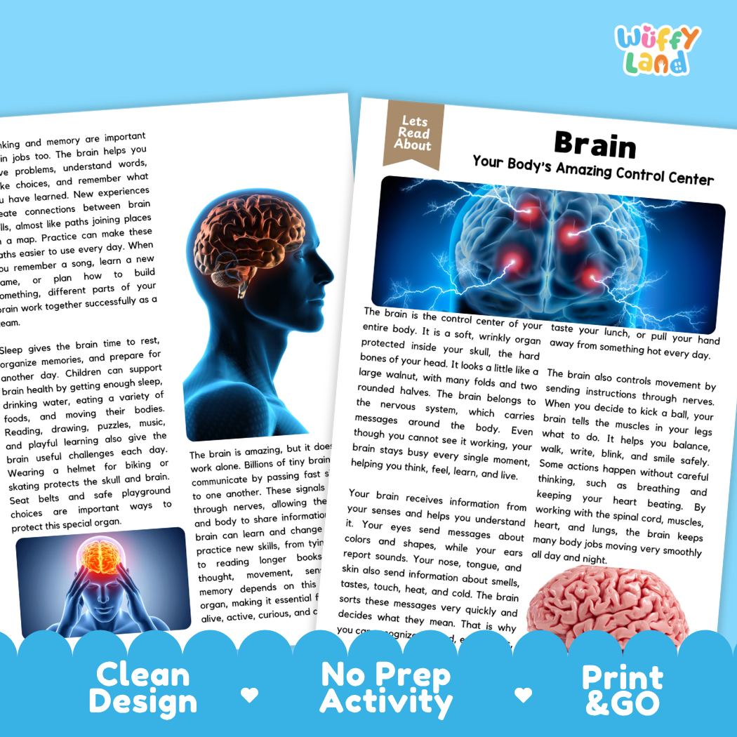 Teacher answer key page showing complete question solutions for Brain human body reading comprehension practice