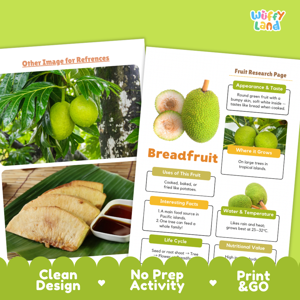 A promotional graphic for a fruit research page product, showing a printed worksheet titled 'Breadfruit' with labeled sections on appearance, taste, where it grows, uses, interesting facts, life cycle, water and temperature, and nutritional value. Two inset photos show a breadfruit plant and sliced breadfruit on a banana leaf.