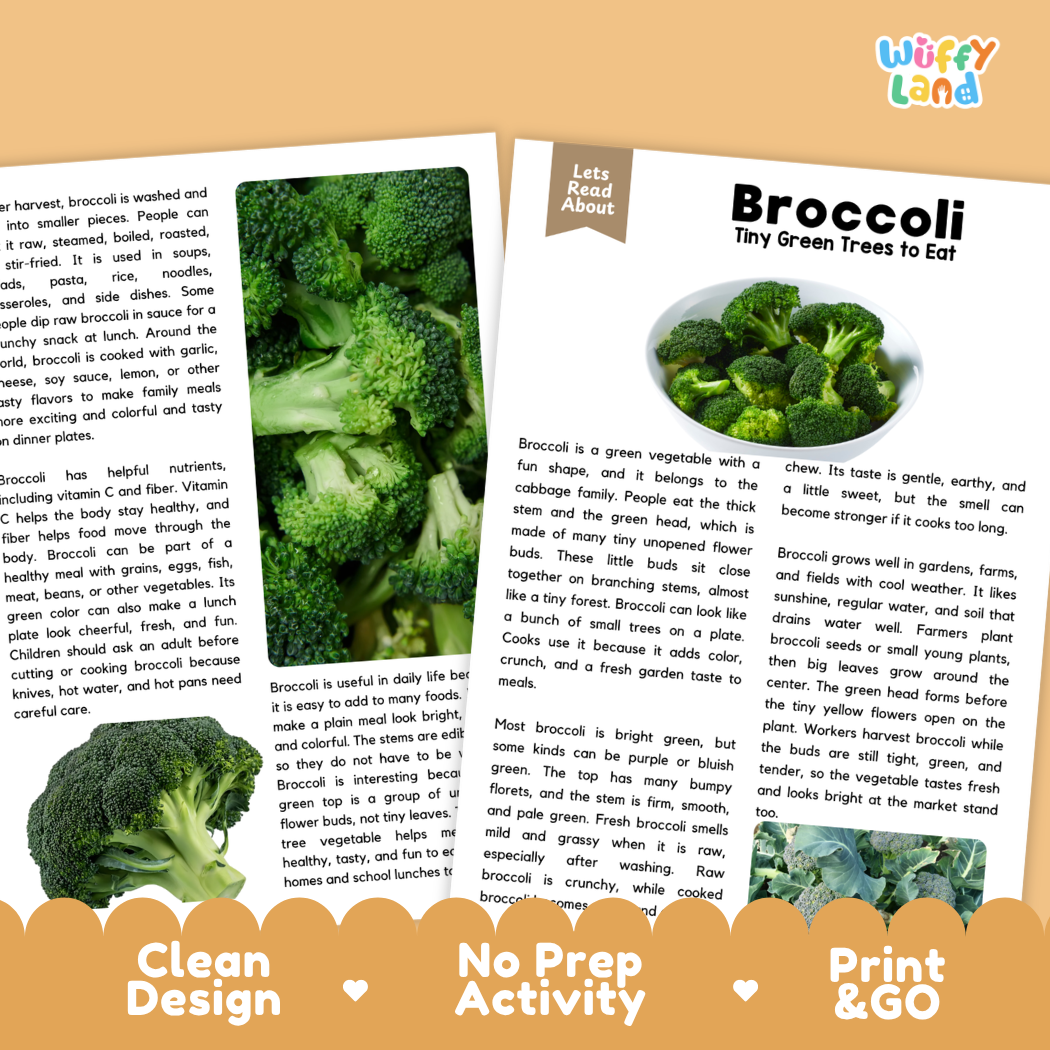 Teacher answer key page showing complete question solutions for broccoli reading comprehension practice