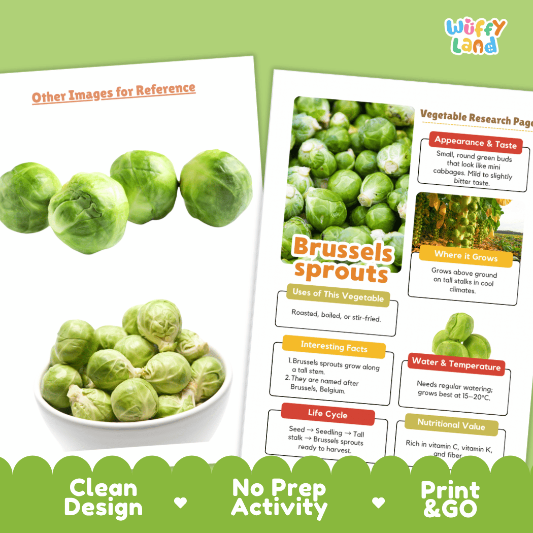 Brussels Sprouts Vegetable Research Page Worksheets
