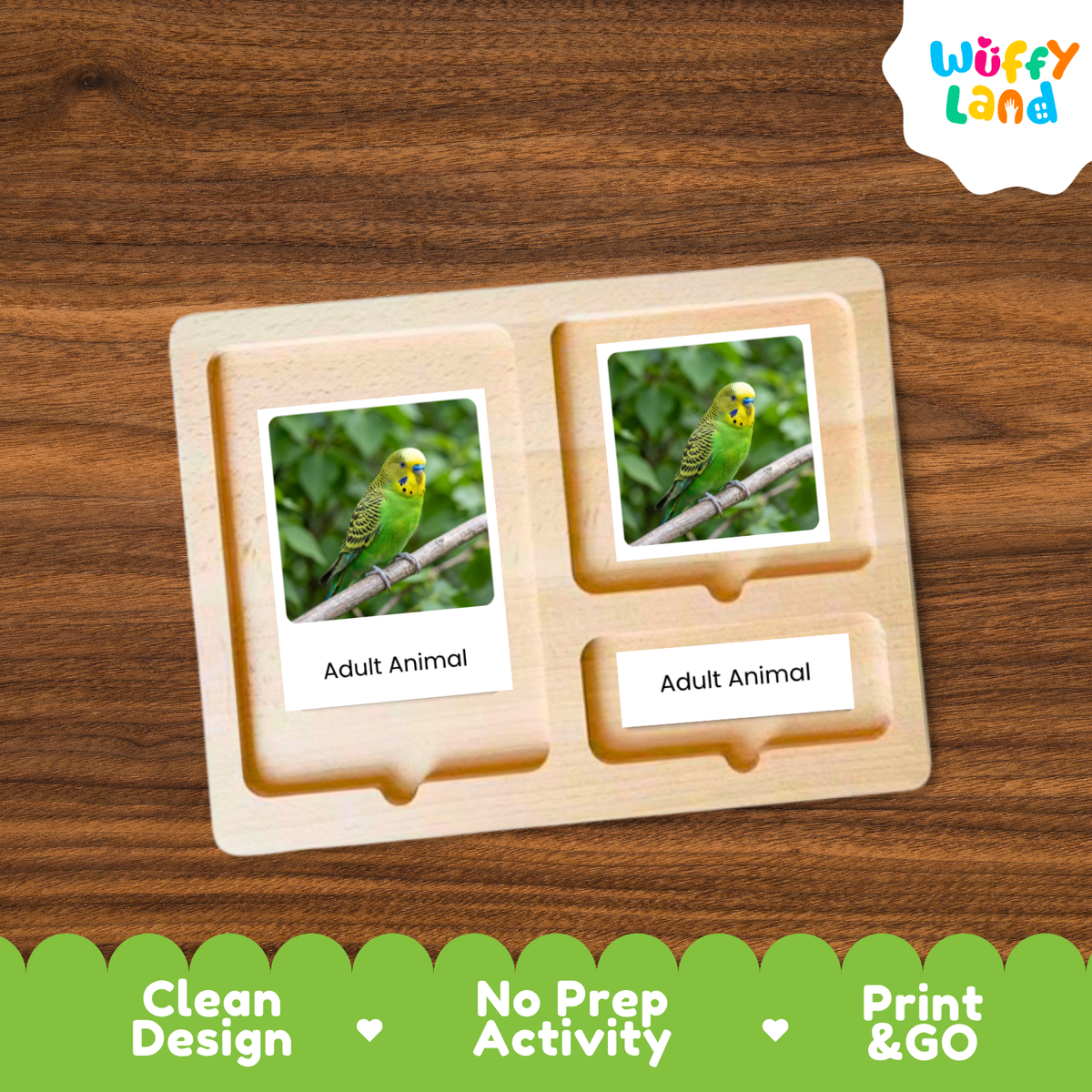 A wooden Montessori-style activity tray with two labeled slots reading 'Adult Animal' and a printed photo of a green bird in each slot, shown on a wood-grain background. A 'Wuffy Land' logo appears in the top right, and a green banner at the bottom reads 'Clean Design', 'No Prep Activity', and 'Print & GO'.