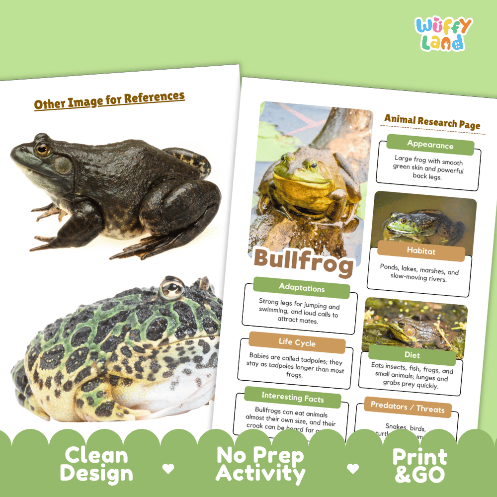 Bullfrog Animal Research Page Worksheets