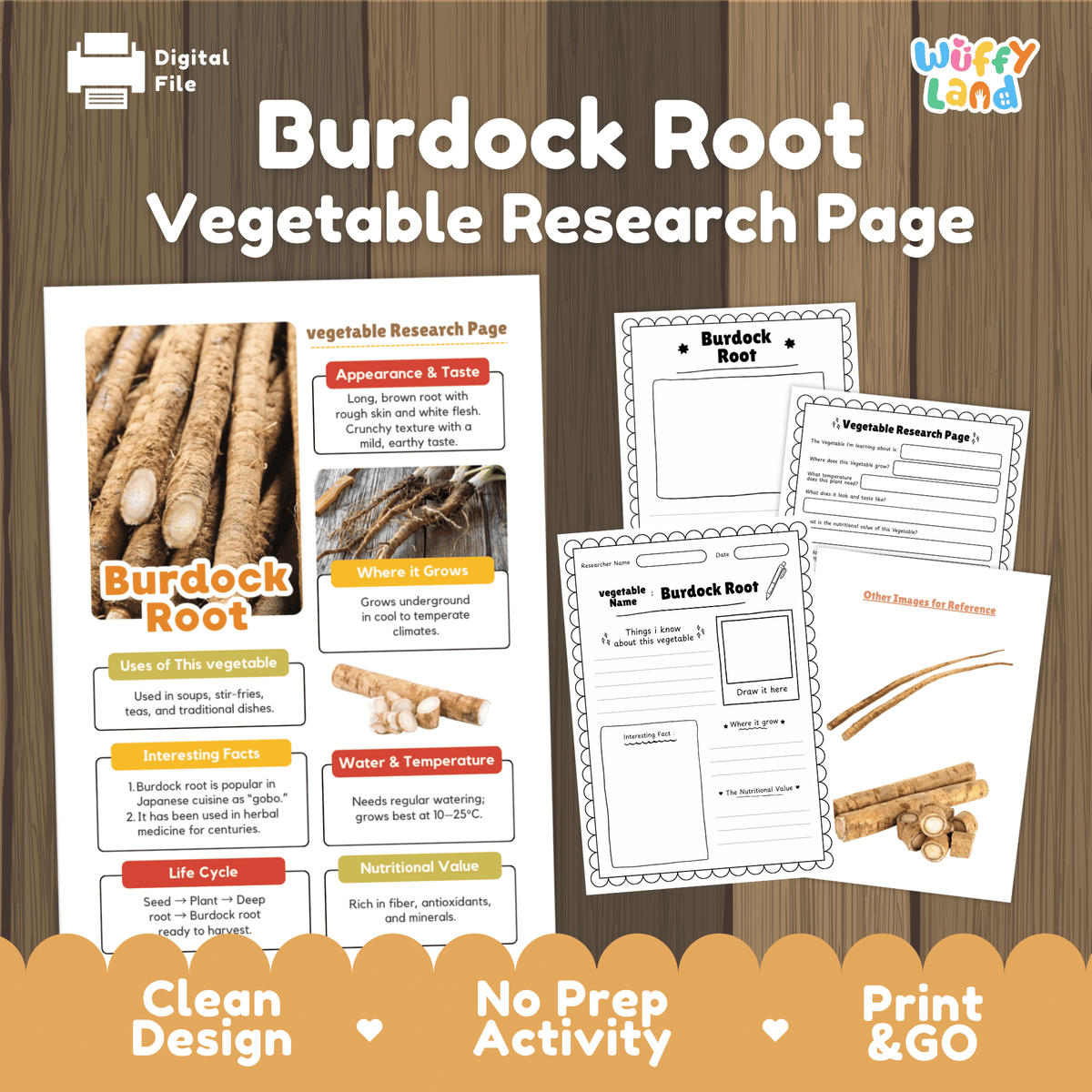 Student vegetable research page writing worksheets with real long burdock gobo root photos, lined note-taking prompts, and drawing frames