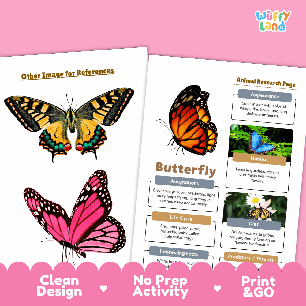 Butterfly Animal Research Page Worksheets and Fact Sheet