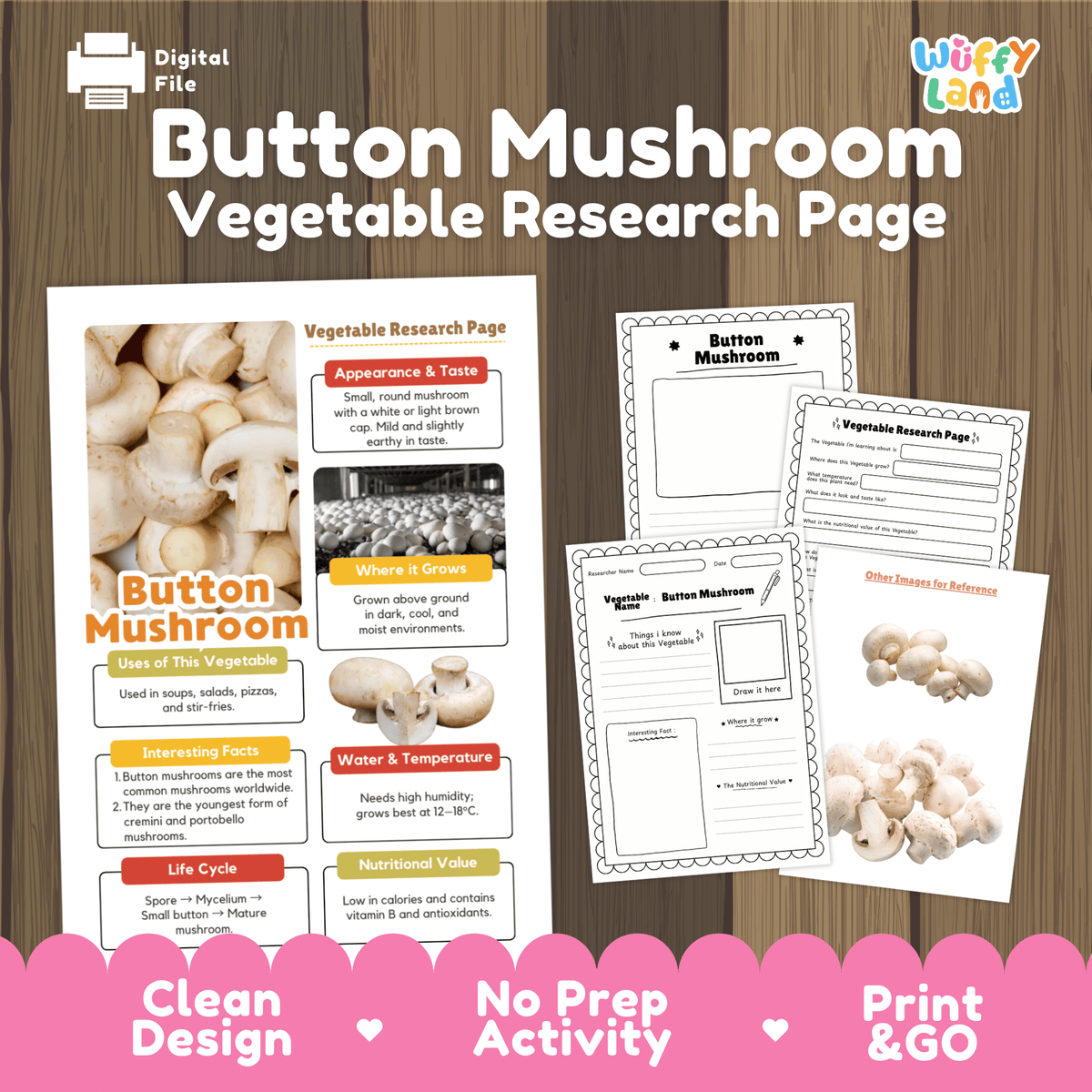 Student vegetable research page writing worksheets with real fresh button mushroom photos, lined note-taking prompts, and drawing frames