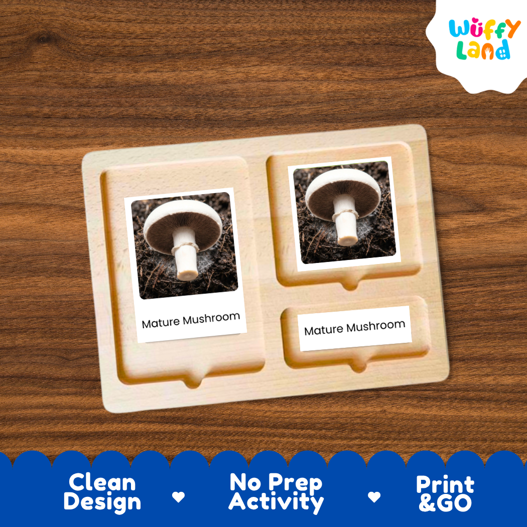 A wooden magnetic activity board with two slots holding mushroom picture cards labeled 'Mature Mushroom,' shown on a wood-grain background. A 'Wuffy Land' logo appears in the top right, and a blue banner at the bottom reads 'Clean Design,' 'No Prep Activity,' and 'Print & GO.