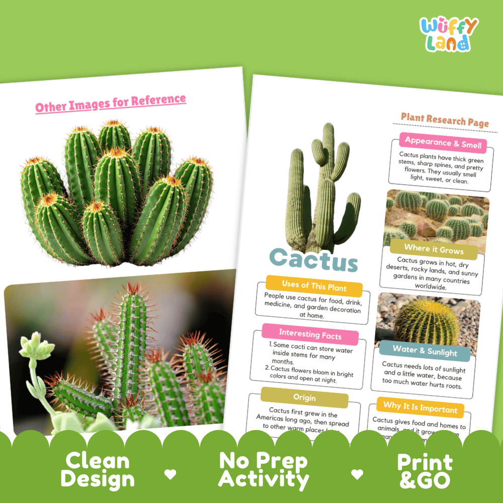 Cactus Plant Research Page Worksheets and Graphic Organizers