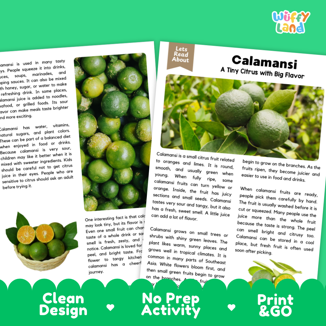 Teacher answer key page showing complete question solutions for calamansi reading comprehension practice