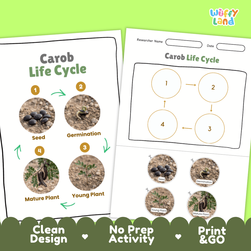 Print and go digital PDF plant science activity featuring clean design layout, researcher name line, and zero prep classroom format
