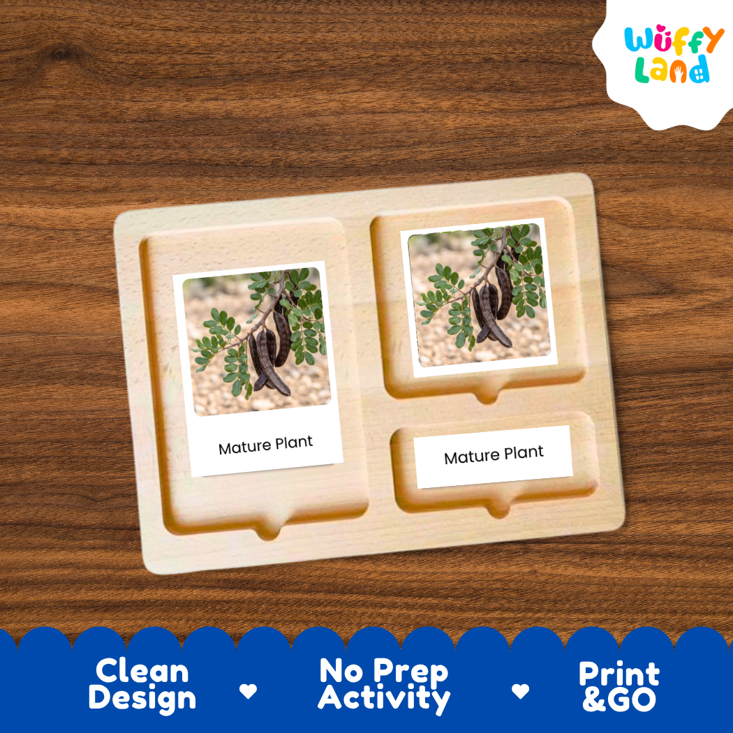 A wooden Montessori-style activity tray with two labeled slots reading 'Mature Plant,' each holding a small printed card showing a bird perched on a branch. The tray is placed on a brown wood surface, with a white cloud logo reading 'Wuffy Land' in the top right and a blue banner at the bottom with marketing text.