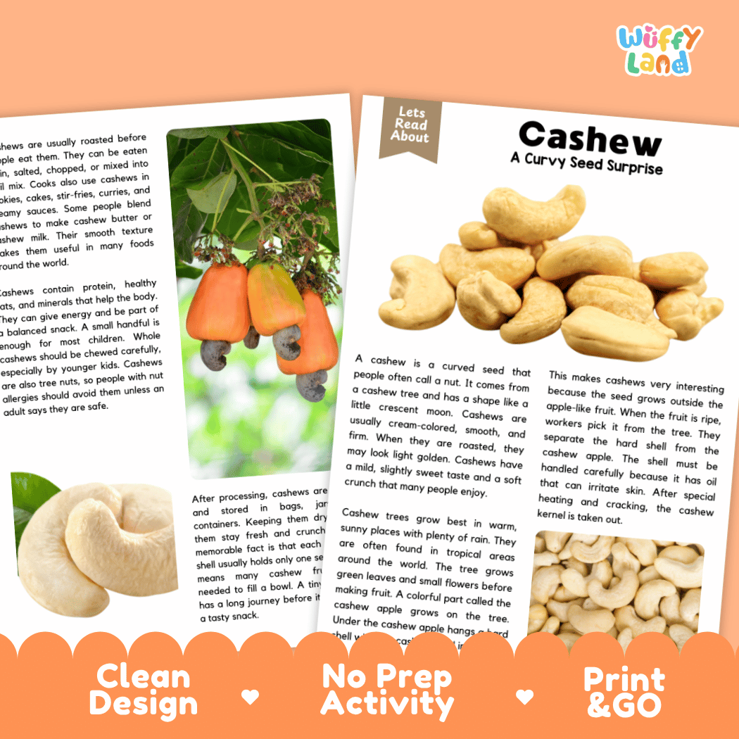 A children's activity booklet titled 'Cashew: A Curvy Seed Surprise' from the brand 'Wiffly Land'. The booklet features a colorful cover with a photo of a person peeling a cashew, along with text sections like 'Lets Read About', 'Clean Design', 'No Prep Activity', and 'Print & GO'.
