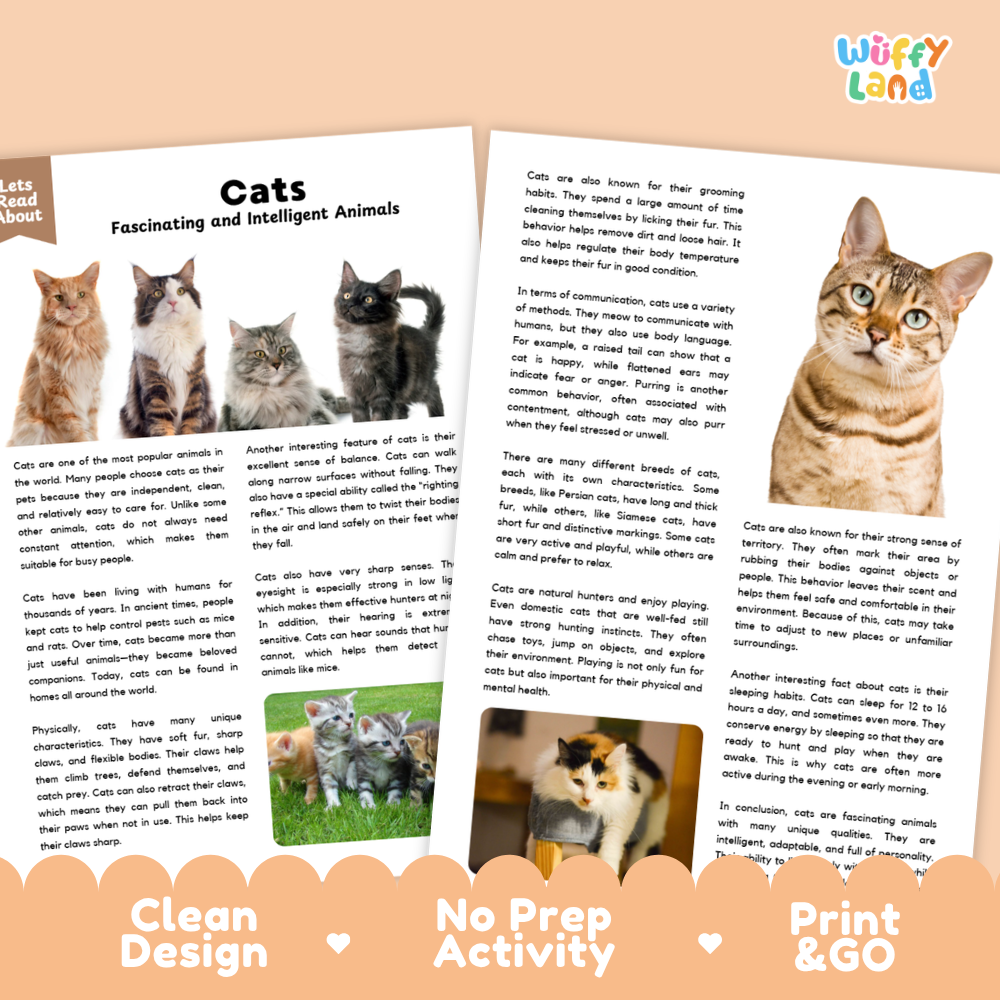 An educational activity booklet titled 'Cats Fascinating and Intelligent Animals' from the brand 'Wuffy Land'. The booklet is shown open on a light beige background decorated with a pink banner at the bottom and a cartoon cat illustration at the top right.