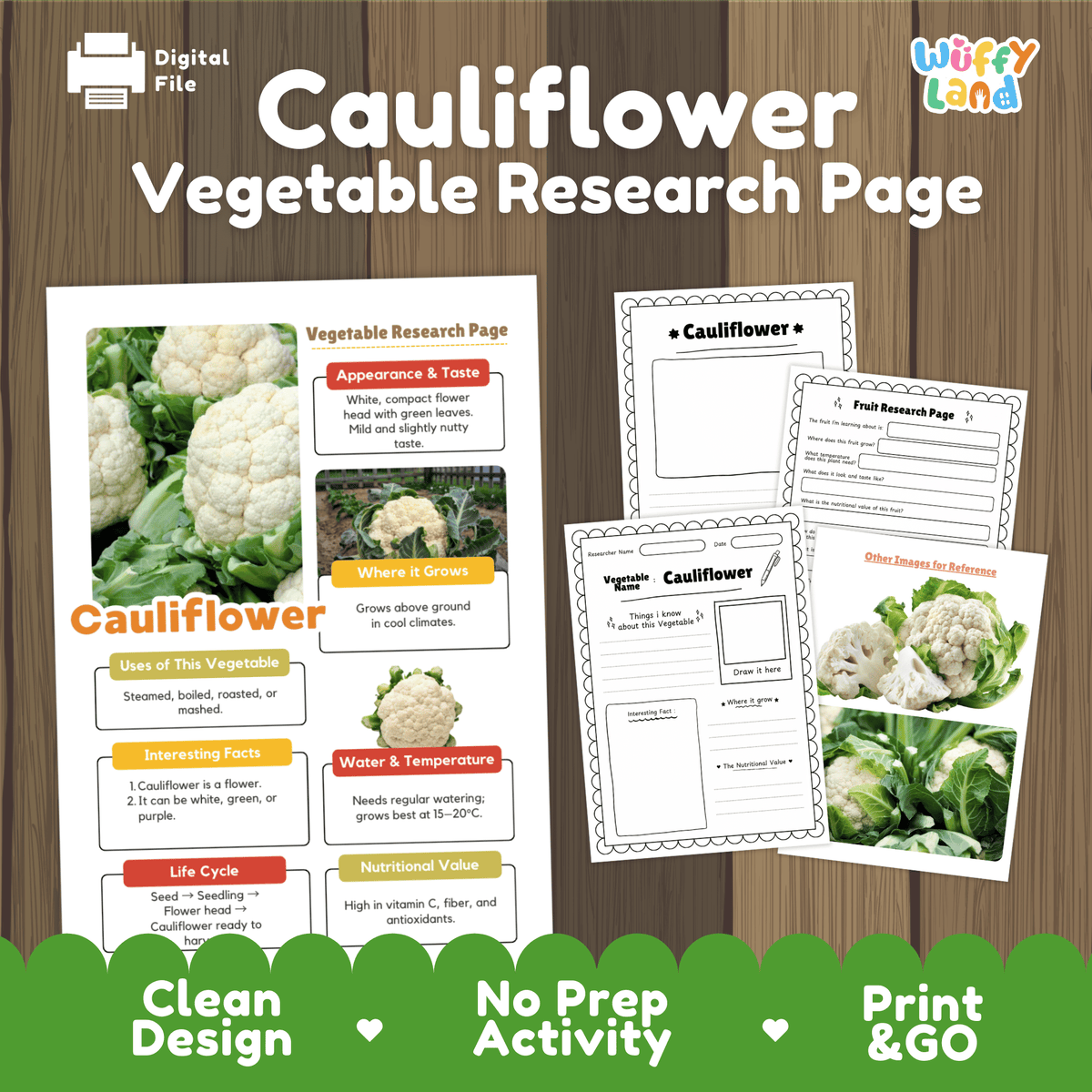 Student vegetable research page writing worksheets with real whole and cut cauliflower photos, lined note-taking prompts, and drawing frames