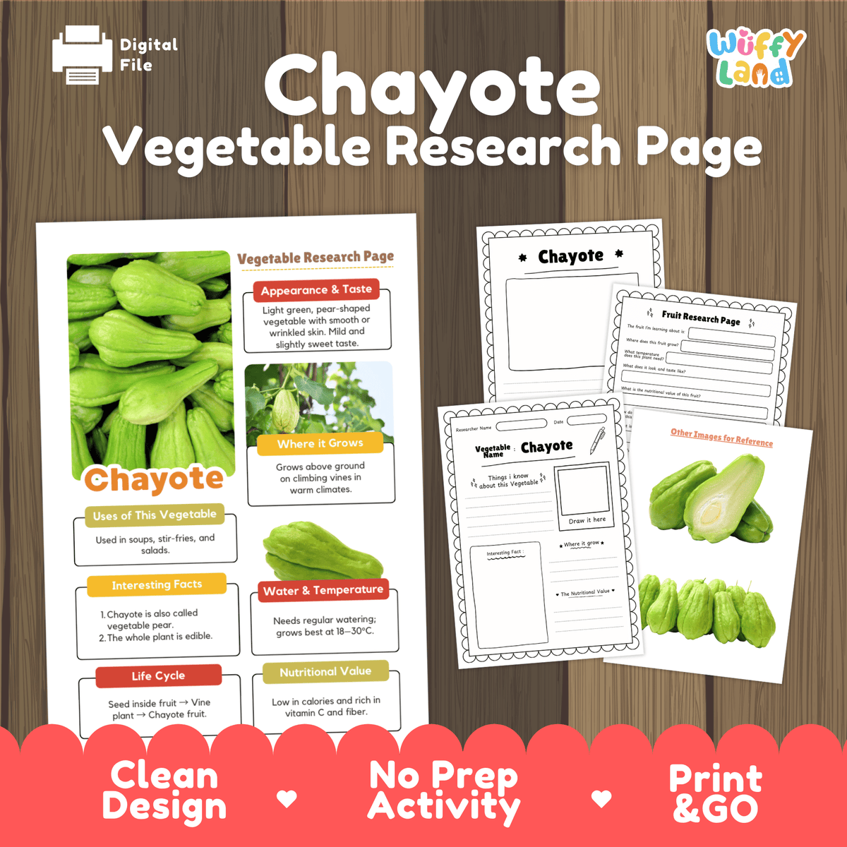Student vegetable research page writing worksheets with real whole and cut chayote squash photos, lined note-taking prompts, and drawing frames