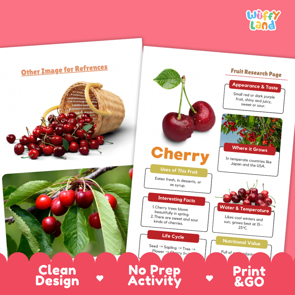 Cherry Fruit Research Page Worksheets and Fact Sheet