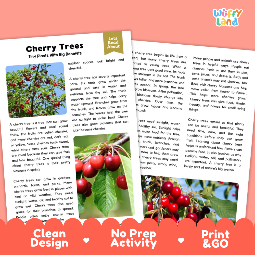 Cherry Tree Plant Reading Passages Worksheets and Comprehension Activity