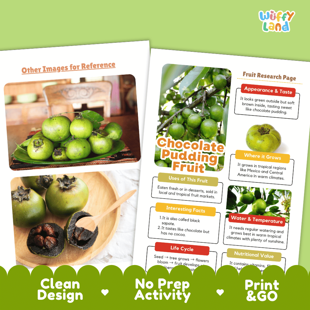 Chocolate Pudding Fruit Research Page Worksheets and Fact Sheet