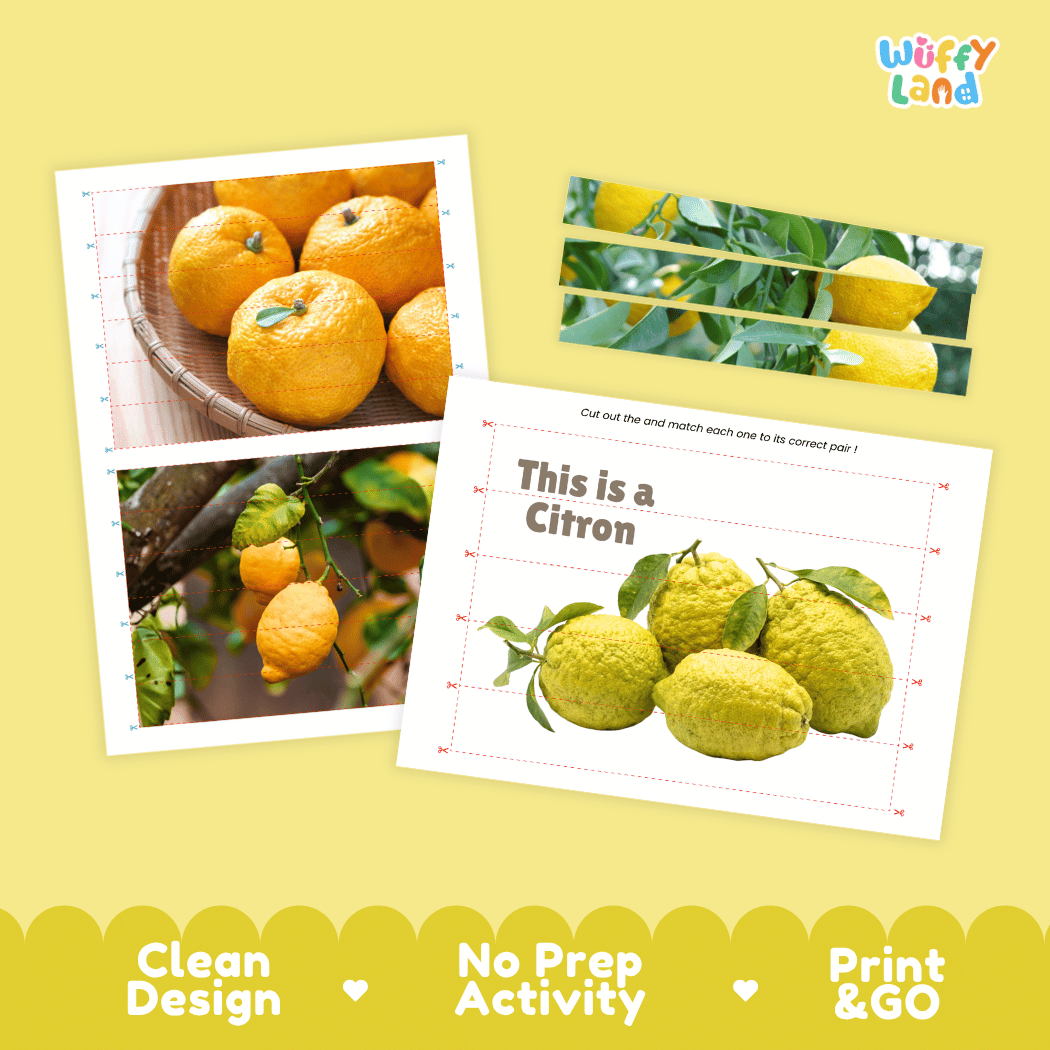 Citron Cut and Match Activity Worksheets | Nuts and Dried Fruits Puzzle Printables