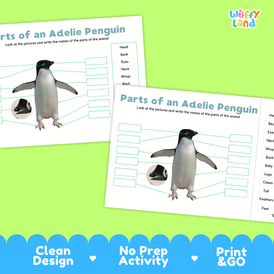 Printable Adelie penguin science activity worksheets highlighting clean design, no prep activity, and print and go badges