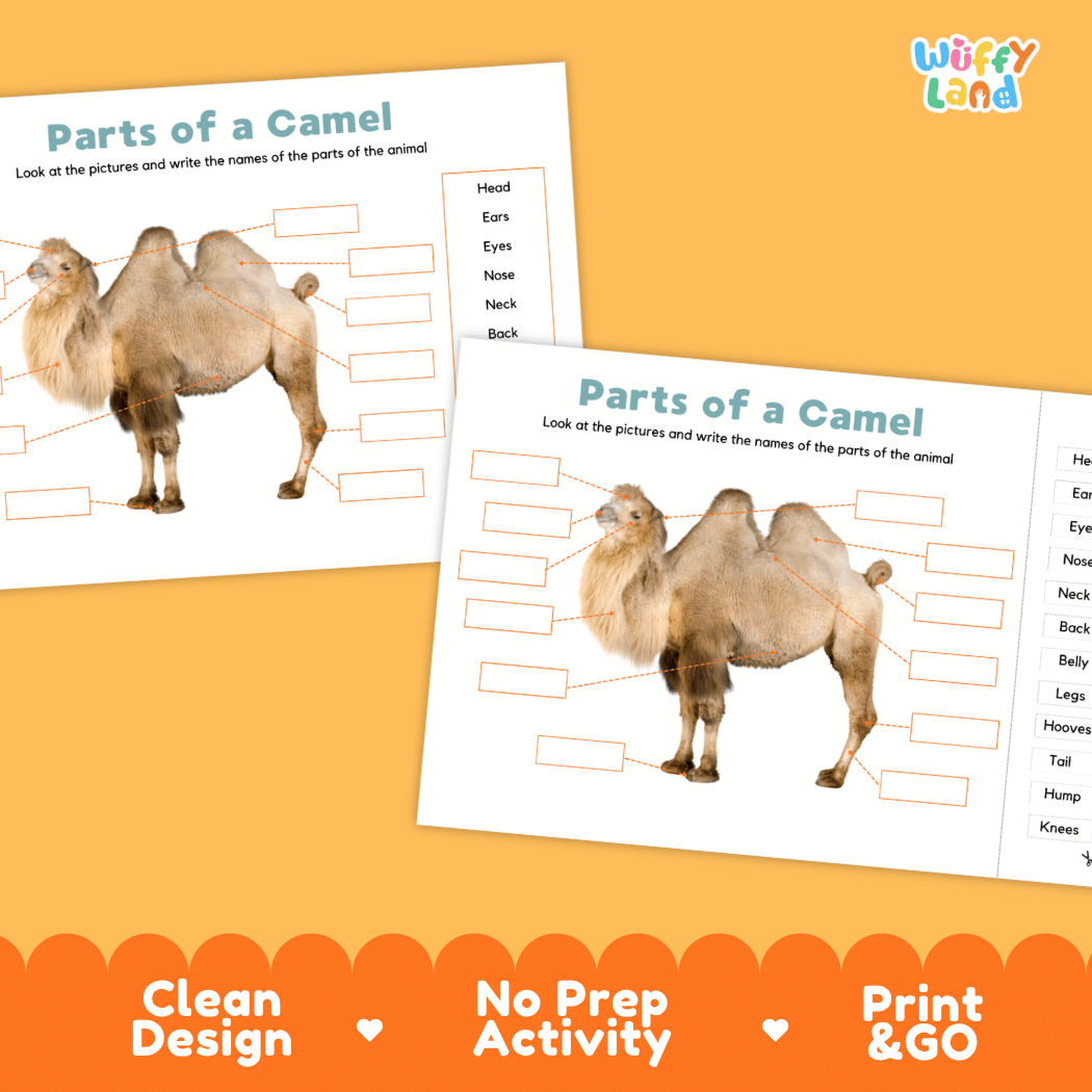 Printable camel science activity worksheets highlighting clean design, no prep activity, and print and go badges