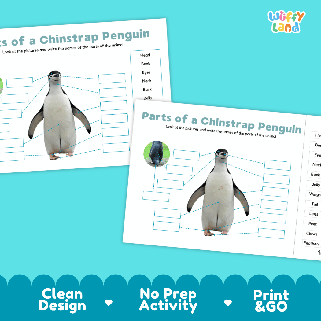 Printable chinstrap penguin science activity worksheets highlighting clean design, no prep activity, and print and go badges