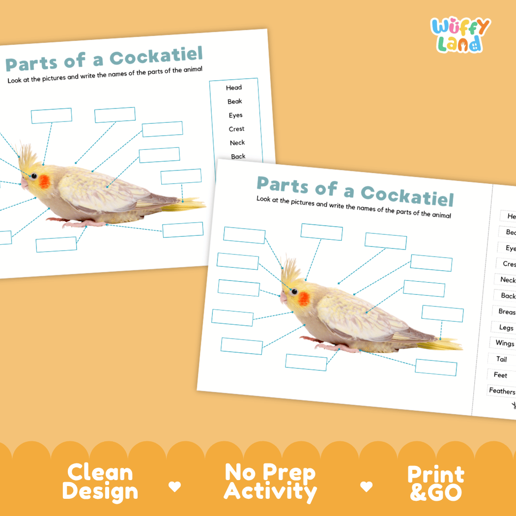 Printable cockatiel science activity worksheets highlighting clean design, no prep activity, and print and go badges