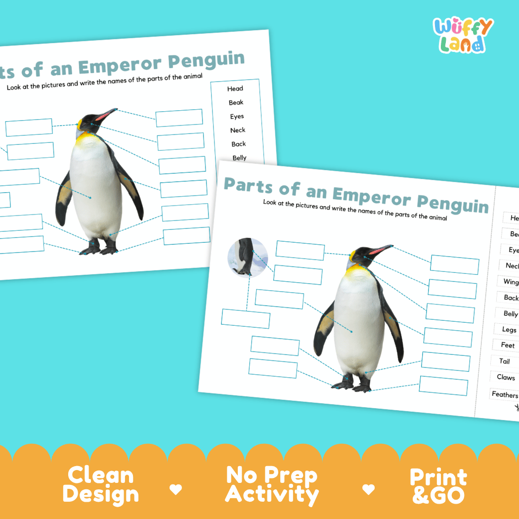 Printable emperor penguin science activity worksheets highlighting clean design, no prep activity, and print and go badges