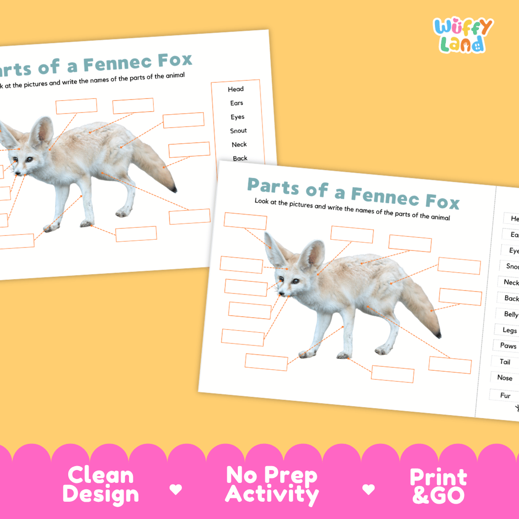 Printable fennec fox science activity worksheets highlighting clean design, no prep activity, and print and go badges