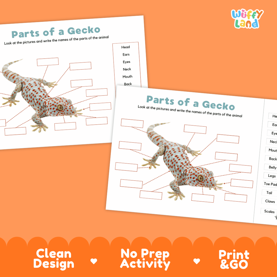 Printable gecko science activity worksheets highlighting clean design, no prep activity, and print and go badges