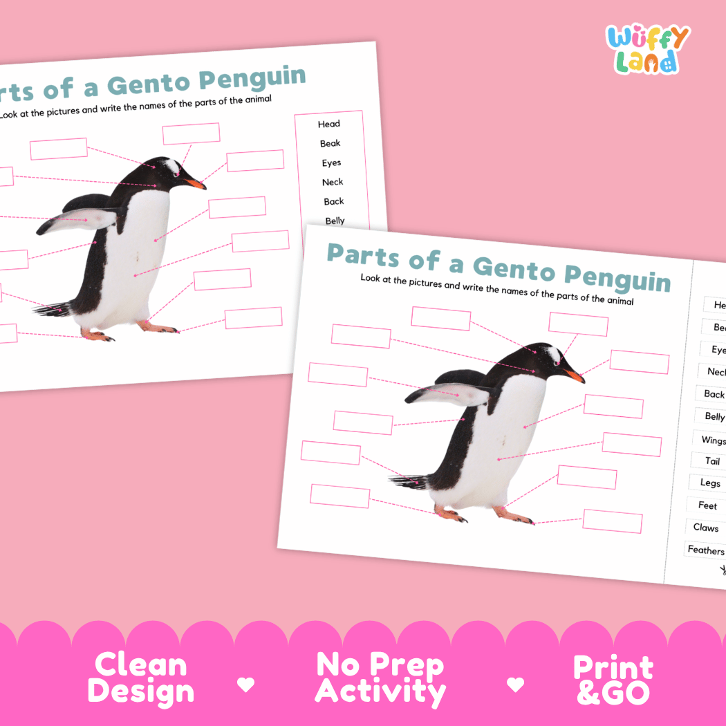 Printable gentoo penguin science activity worksheets highlighting clean design, no prep activity, and print and go badges