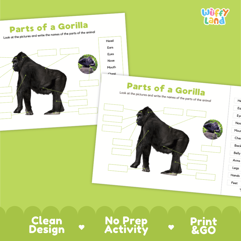 Printable gorilla science activity pages highlighting clean design, no prep activity, and print and go features
