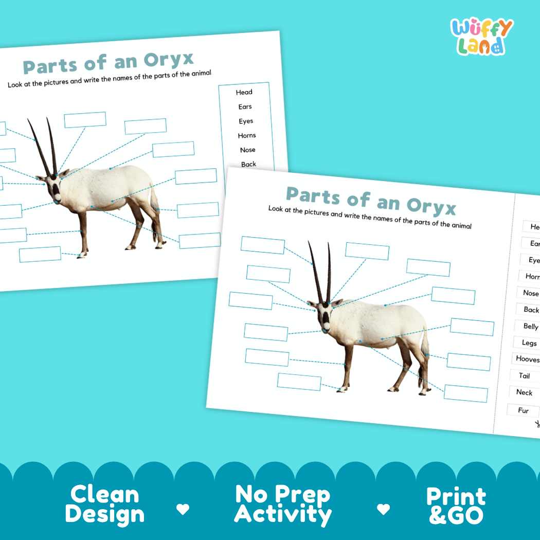 Printable oryx science activity worksheets highlighting clean design, no prep activity, and print and go badges