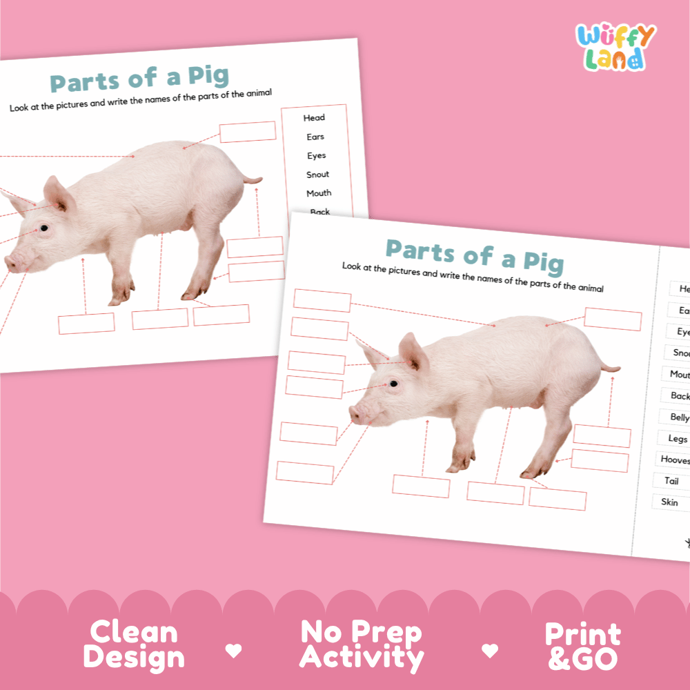 Printable pig science activity worksheets highlighting clean design, no prep activity, and print and go badges