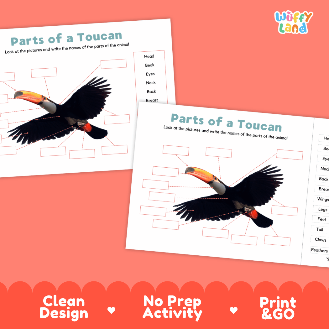Printable toucan science activity worksheets highlighting clean design, no prep activity, and print and go badges