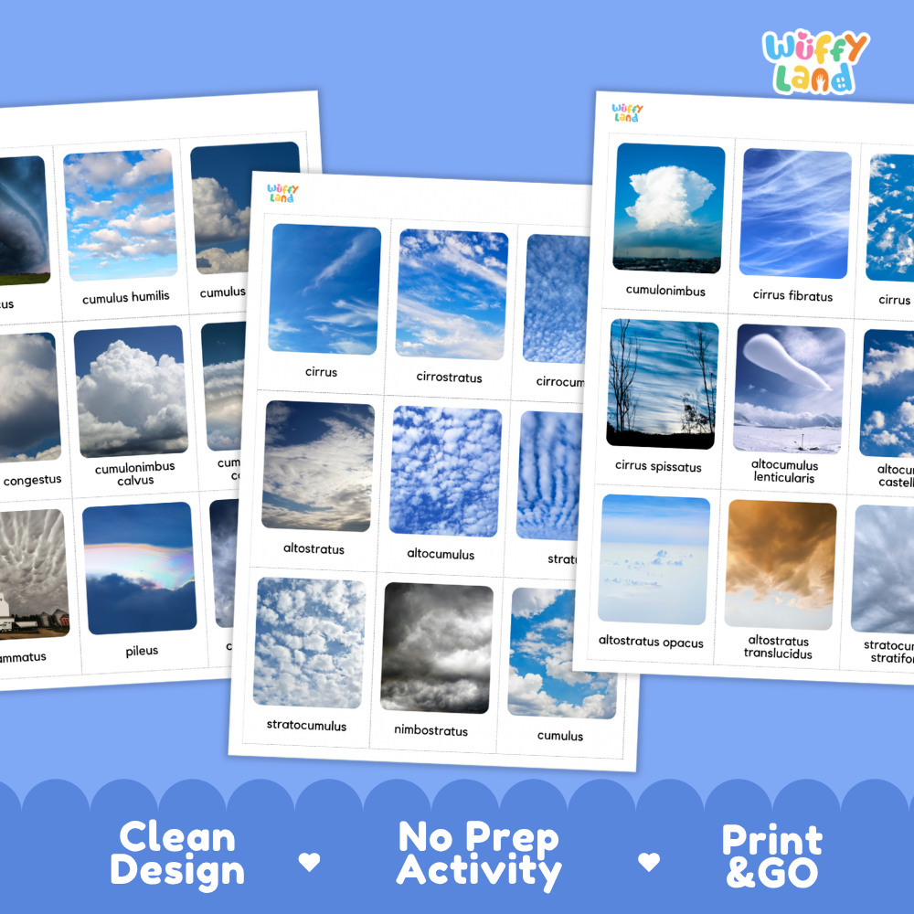 Cloud Types Flashcards Printable Weather Science Cards for Early Elementary