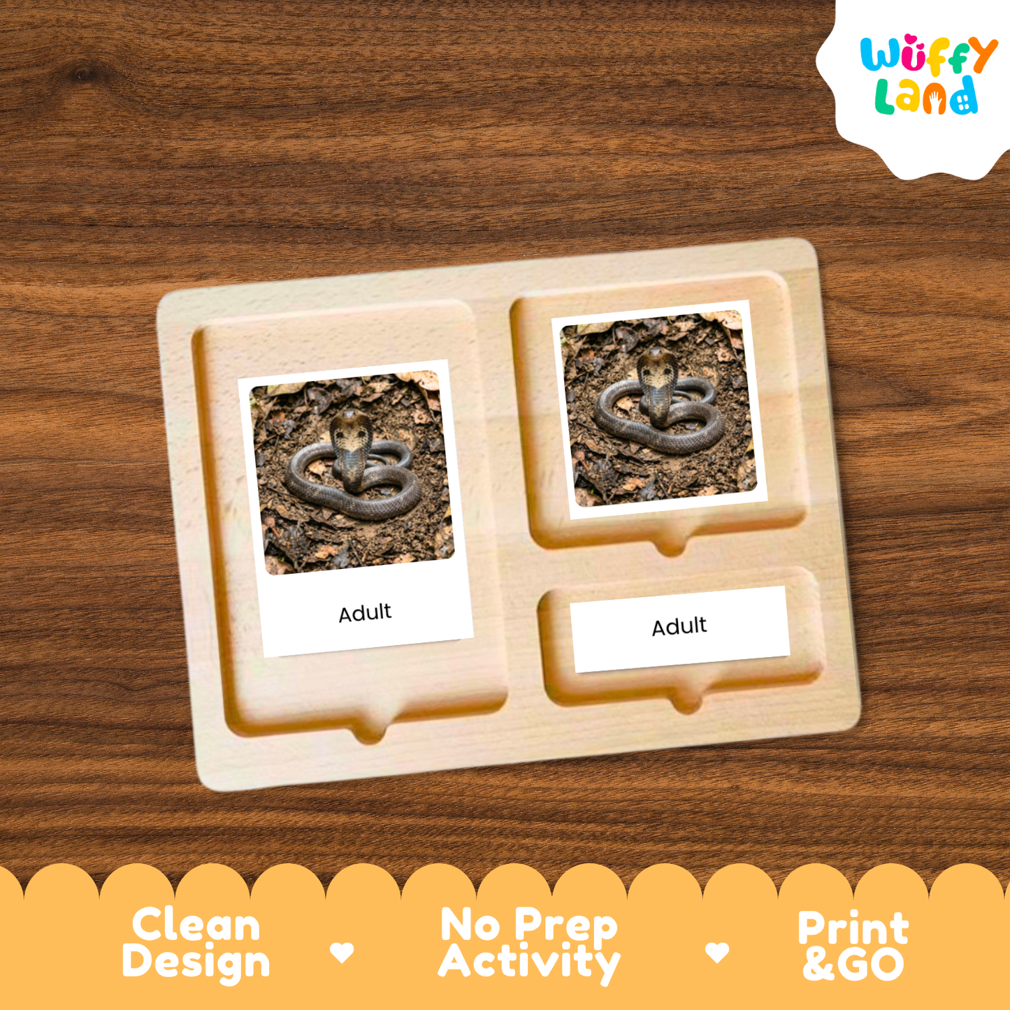 A wooden activity board with two labeled slots reading 'Adult' and a small photo of a coiled snake, shown on a wood-grain background. The brand logo 'Wuffy Land' appears in the top right, and marketing text along the bottom reads 'Clean Design', 'No Prep Activity', and 'Print & GO'.