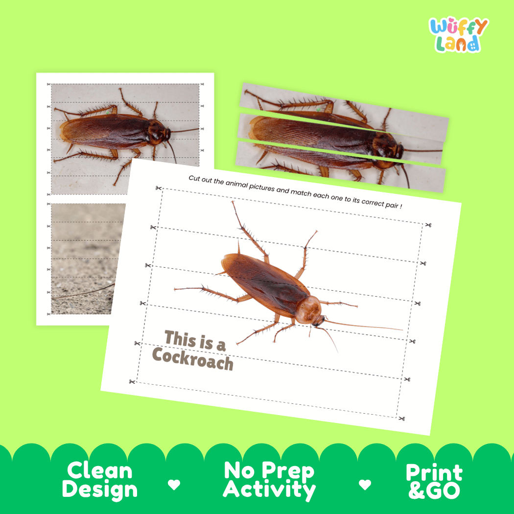 Cockroach Cut and Match Activity Printables Worksheets