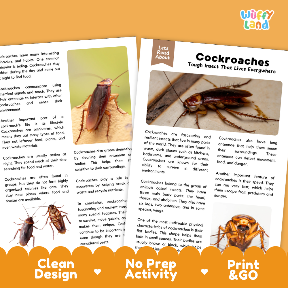 Two educational activity sheets about cockroaches from the brand 'Wuff! Land', featuring text, a small cockroach photo, and an orange 'Print & Go' banner at the bottom.