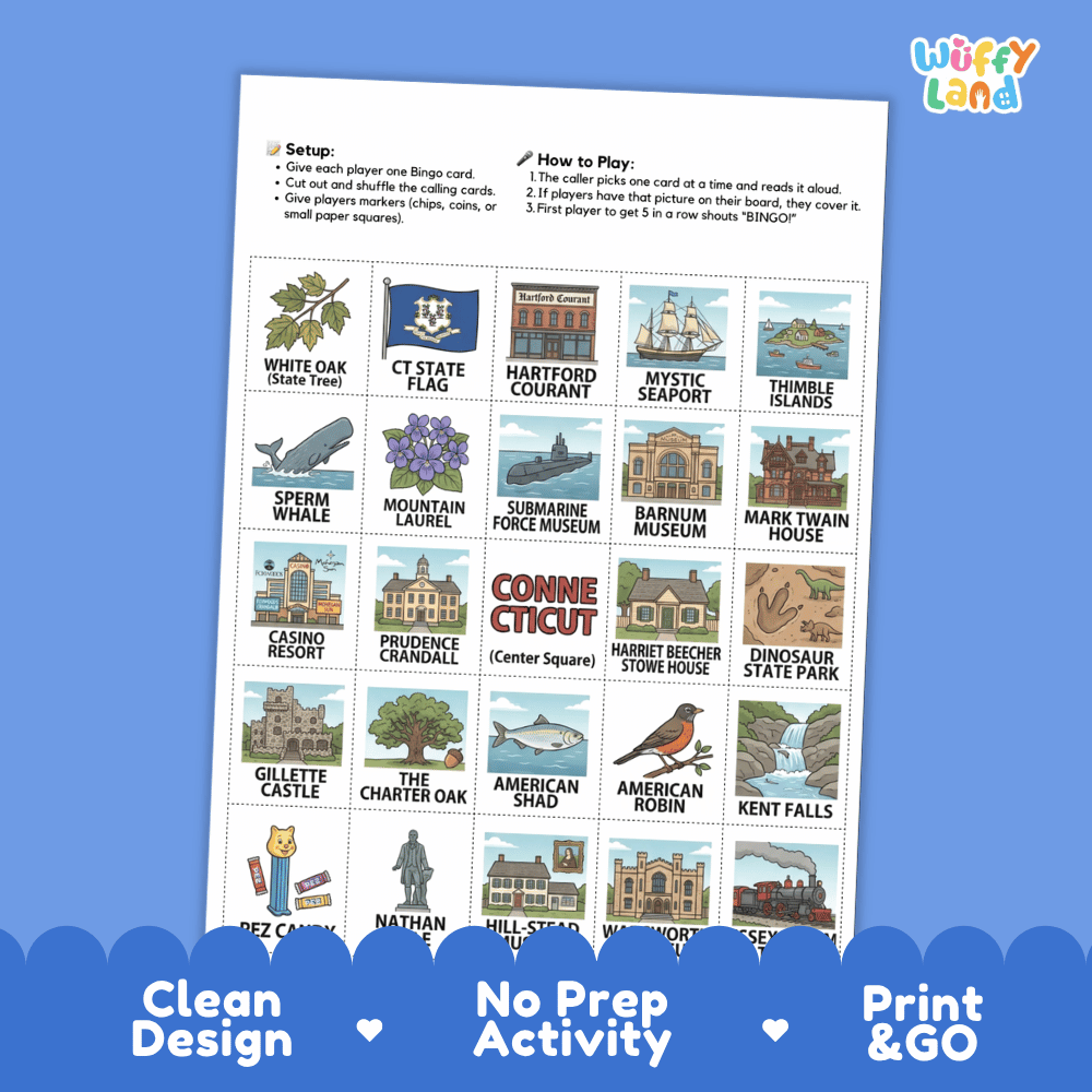 Connecticut Geography BINGO Game Constitution State Activity Printable Boards
