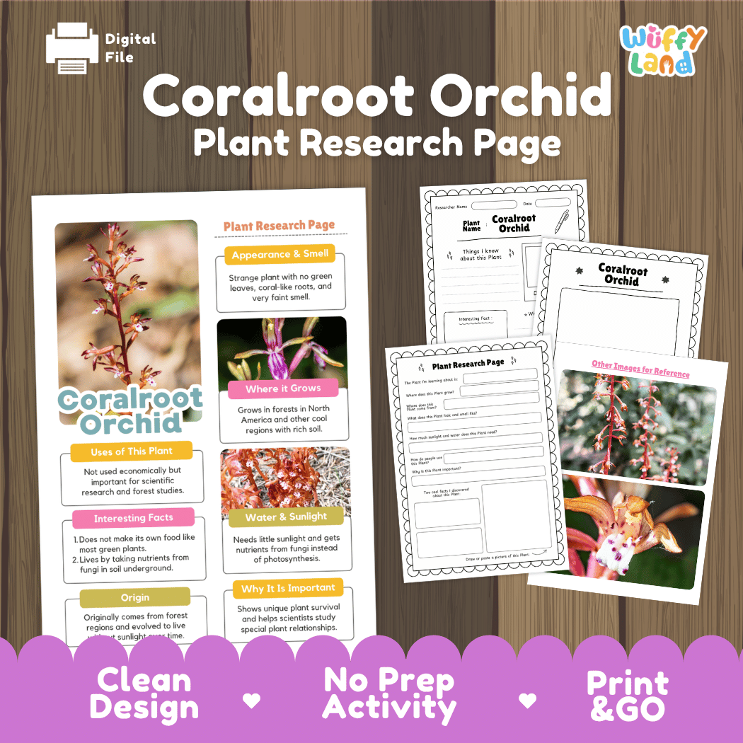 Student plant research page writing worksheets with real close up coralroot orchid flowers, branching rhizome, and forest floor photos, lined note-taking prompts, and drawing frames