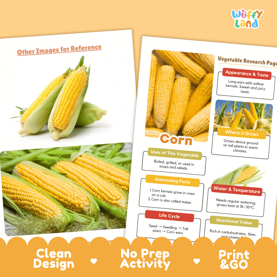 Corn Vegetable Research Page Worksheets