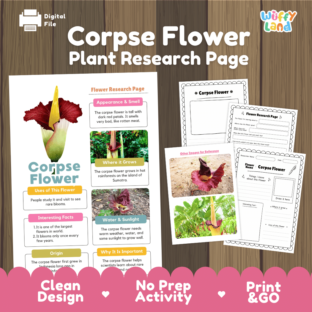 Student flower research page writing worksheets with real blooming titan arum corpse flower in Sumatra rainforest photos, lined note-taking prompts, and drawing frames